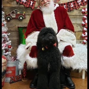 Meet your Posher, Charles